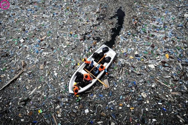 Plastic Soup | The great Pacific garbage patch - More Than Green